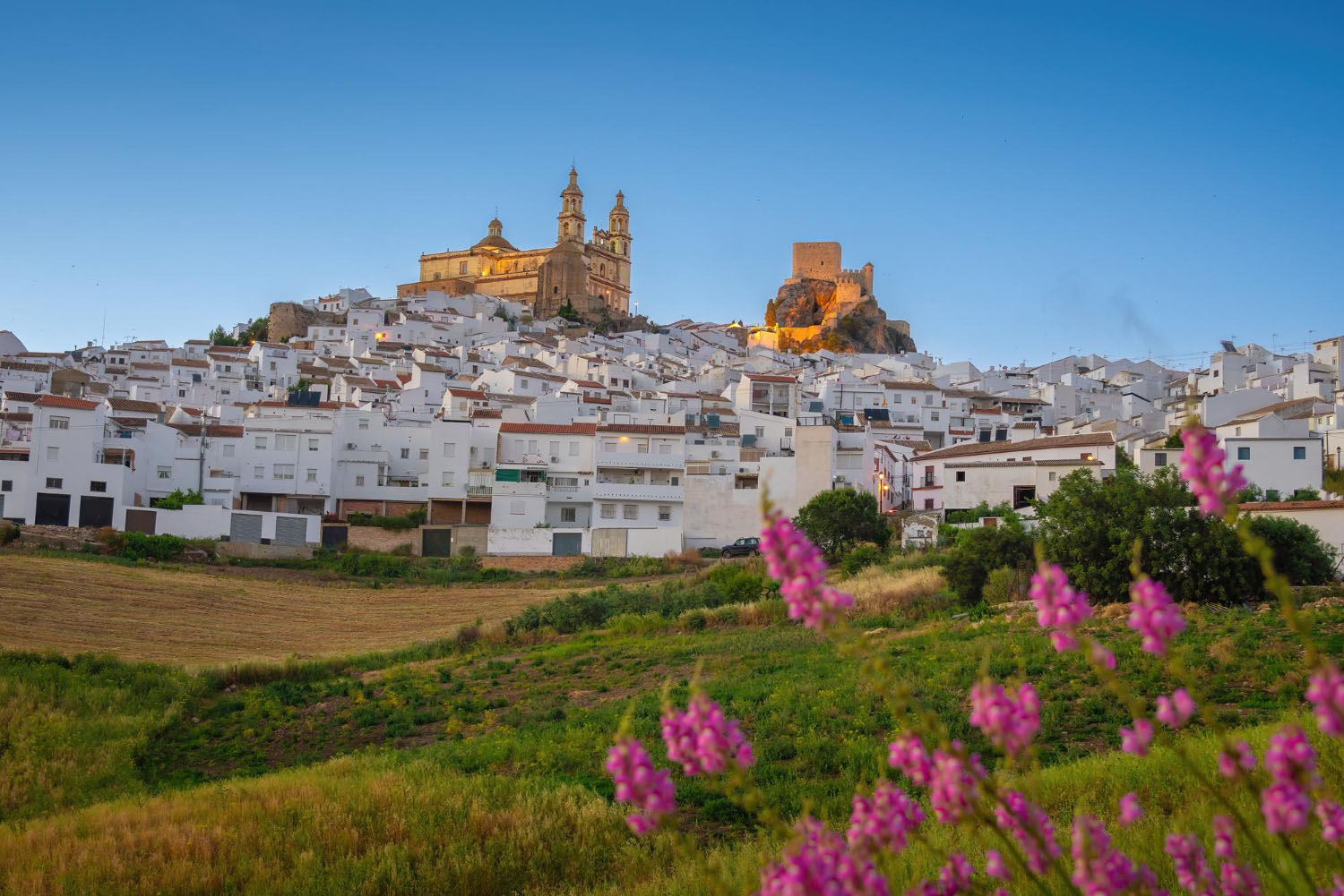 esto es Olvera Cádiz